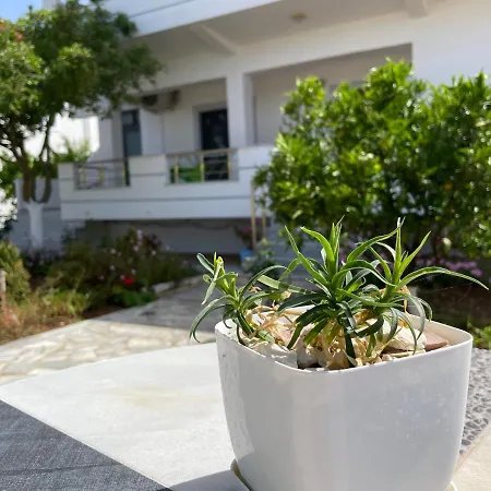 아파트호텔 Soni Oruci 3*